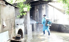 5 c&#225;ch chủ động ph&#242;ng bệnh do muỗi sau lũ