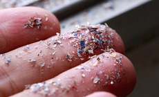 Nam giới trẻ đối mặt nguy cơ vô sinh vì ô nhiễm môi trường