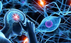 Vì sao đàn ông tiểu đường dễ mất khả năng cương cứng?