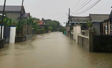 Hơn 600 hộ dân bị ngập, 1 người mất tích trong mưa lũ ở Quảng Trị