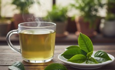 Tại sao người bệnh đ&#225;i th&#225;o đường n&#234;n uống tr&#224; xanh?