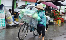 Miền Bắc mưa rải r&#225;c, b&#227;o số 14 vẫn đang quần thảo tr&#234;n Biển Đ&#244;ng