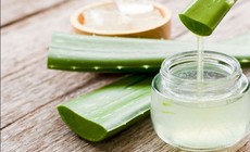 Loại da n&#224;o d&#249;ng gel l&#244; hội l&#224; tốt nhất?