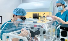 Vi nhựa x&#226;m nhập nang trứng: B&#225;o động mới với khả năng sinh sản nữ