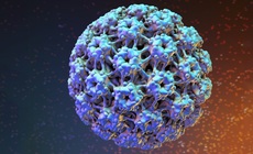 Nam giới c&#243; thể bị nhiễm virus HPV kh&#244;ng?