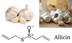 4 c&#225;ch sử dụng tỏi hỗ trợ điều trị v&#224; ph&#242;ng ngừa c&#250;m A