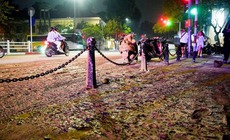 Xử phạt t&#224;i xế xe tải l&#224;m rơi b&#249;n khiến nhiều người ng&#227; ở phố T&#244;n Đức Thắng