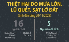 Thiệt hại do mưa lớn, lũ qu&#233;t, sạt lở đất (t&#237;nh đến s&#225;ng 20/11/2025)