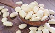 Đậu trắng c&#243; t&#225;c dụng g&#236;?