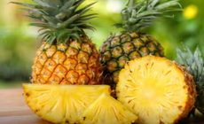 Khi bị ho hay cảm lạnh n&#234;n ăn loại tr&#225;i c&#226;y n&#224;o cho nhanh khỏi?