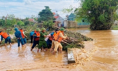 Khẩn cấp triển khai c&#225;c biện ph&#225;p ứng ph&#243; với b&#227;o số 15