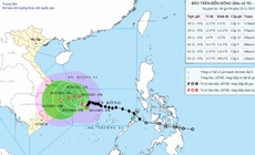 B&#227;o số 15 giảm c&#242;n cấp 11, hướng v&#224;o Gia Lai