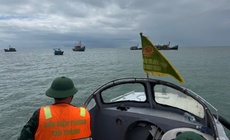 L&#226;m Đồng cấm to&#224;n bộ t&#224;u thuyền ra khơi, k&#237;ch hoạt ứng ph&#243; cao nhất với b&#227;o số 15