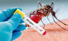 Sốt xuất huyết Dengue l&#224; nguy cơ với mọi lứa tuổi chứ kh&#244;ng ri&#234;ng trẻ em