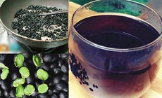 Uống nước đậu đen xanh l&#242;ng c&#243; t&#225;c dụng g&#236;?