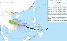 B&#227;o số 13 sẽ đổ bộ đất liền c&#225;c tỉnh Đ&#224; Nẵng đến Kh&#225;nh H&#242;a v&#224;o chiều nay