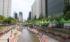 B&#234;n trong nỗ lực hồi sinh những d&#242;ng s&#244;ng &#244; nhiễm nhất thế giới