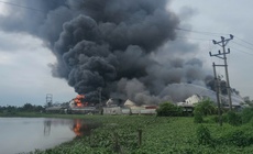 Ch&#225;y xưởng sản xuất gi&#224;y da 12.000 m2 ở Hải Ph&#242;ng