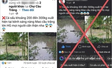 Triệu tập thanh ni&#234;n đưa tin bịa đặt về c&#225; sấu &#39;khổng lồ&#39;