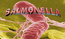 Thịt đã nấu chín để qua đêm, trông vẫn ngon nhưng có còn an toàn để ăn?