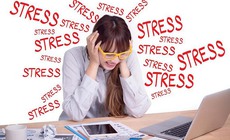 4 chất đến từ thảo dược giúp giảm căng thẳng cho não bộ