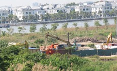 Hải Phòng: Chủ tịch UBND cấp xã chịu trách nhiệm toàn diện về quản lý đất đai tại địa bàn