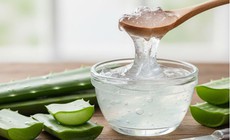 6 lợi ích tuyệt vời của gel lô hội với sức khoẻ làn da