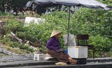 Không khí lạnh liên tiếp, rét đậm rét hại có khả năng gia tăng trong tháng tới