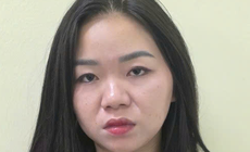 Bắt giữ Dương Thị Hoàng Yến về hành vi môi giới mại dâm