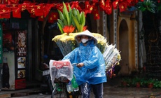 Miền Bắc sắp kết thúc những ngày ấm lạ thường giữa mùa đông