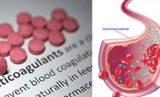 3 lý do cần thận trọng khi uống vitamin C cùng thuốc chống đông máu
