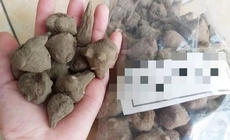 Nhập viện cấp cứu sau 1 giờ ăn củ ấu tàu