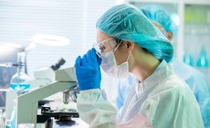 Thu nhập ngành Y tế – Dược nhìn từ dữ liệu thị trường lao động năm 2025