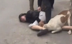 Thả chó dữ tấn công người khác có thể bị xử lý hình sự