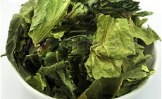 3 bài thuốc từ lá dâu tốt cho người bệnh tiểu đường