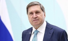 Tiết lộ ban đầu về kết quả cuộc trao đổi d&#224;i 5 giờ giữa Tổng thống Putin v&#224; Đặc ph&#225;i vi&#234;n Mỹ