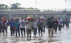 Mỹ tạm dừng to&#224;n bộ hồ sơ xin nhập cư của c&#244;ng d&#226;n 19 quốc gia