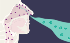 Tăng sức đề kháng để phòng bệnh tai mũi họng trong mùa đông