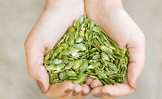 Top 10 thực phẩm gi&#224;u sắt h&#224;ng đầu tốt cho người bị thiếu m&#225;u