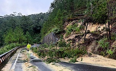Vết nứt tr&#234;n đ&#232;o D’Ran ph&#225;t triển, Quốc lộ 20 tiếp tục sạt lở