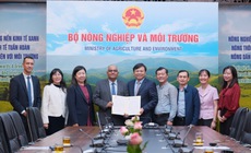 ADB viện trợ 2 triệu USD gi&#250;p Việt Nam khắc phục hậu quả mưa lũ miền Trung