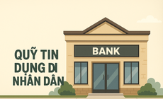 Nhiều vi phạm tại Quỹ T&#237;n dụng Nh&#226;n d&#226;n Thạnh Quới