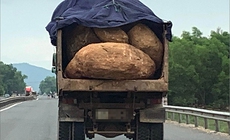 Truy t&#236;m xe tải l&#224;m rơi đ&#225; khiến 2 người thương vong ở L&#226;m Đồng