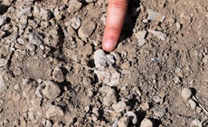 H&#243;a thạch b&#224;n ch&#226;n 3,4 triệu năm tuổi c&#243; thể viết lại lịch sử tiến h&#243;a lo&#224;i người