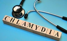 C&#225;c triệu chứng ch&#237;nh của bệnh Chlamydia ở phụ nữ