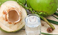 Cần ch&#250; &#253; g&#236; khi uống nước dừa xi&#234;m?