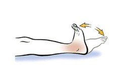 B&#224;i tập co duỗi cổ ch&#226;n ngăn ngừa cục m&#225;u đ&#244;ng