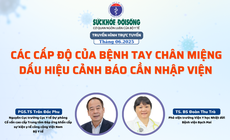 Truyền h&#236;nh trực tuyến: C&#225;c cấp độ của bệnh tay ch&#226;n miệng – dấu hiệu cảnh b&#225;o cần nhập viện