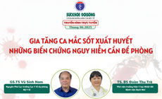 Truyền h&#236;nh trực tuyến: Gia tăng ca mắc sốt xuất huyết, những biến chứng nguy hiểm cần đề ph&#242;ng