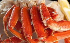 3 b&#224;i thuốc Đ&#244;ng y trị lo&#227;ng xương
